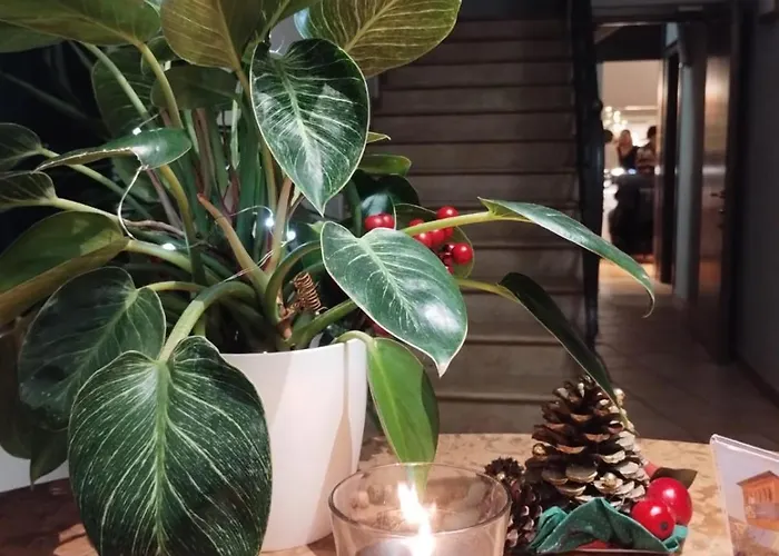 Classicano 酒店 拉文纳